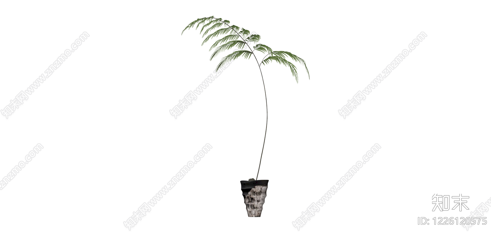 盆栽蕨类植物SU模型下载【ID:1226120575】