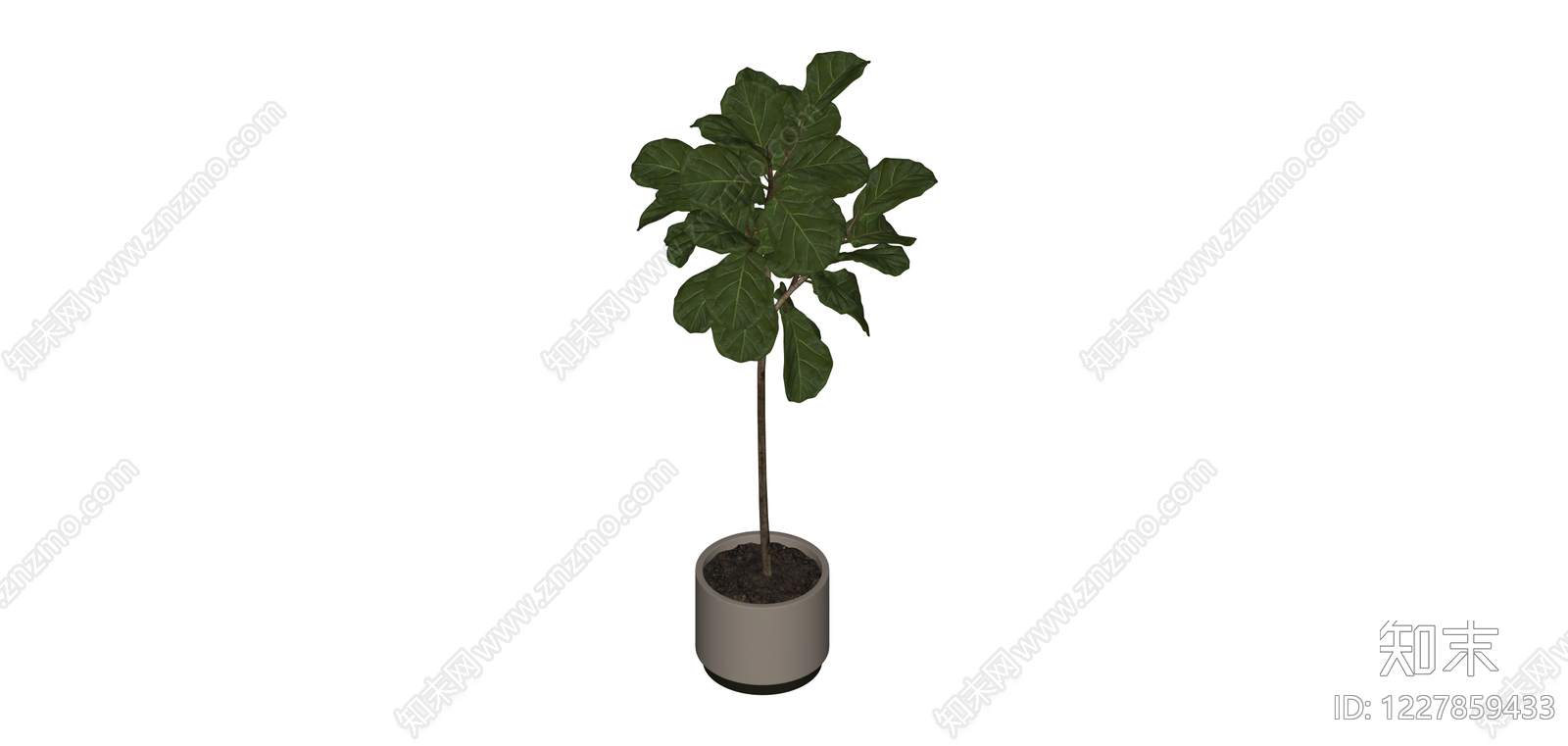 盆栽绿植（带盆）SU模型下载【ID:1227859433】