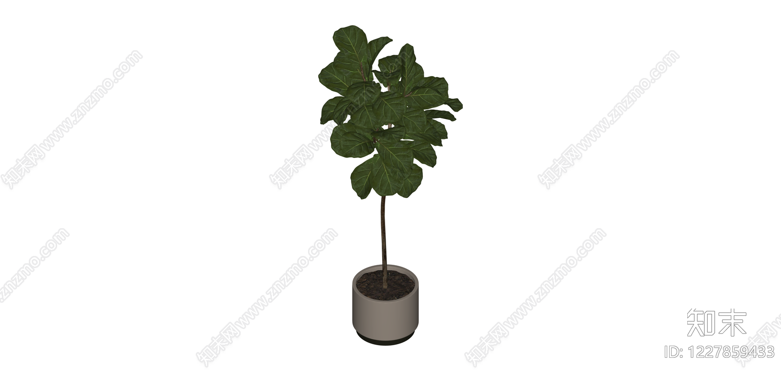 盆栽绿植（带盆）SU模型下载【ID:1227859433】