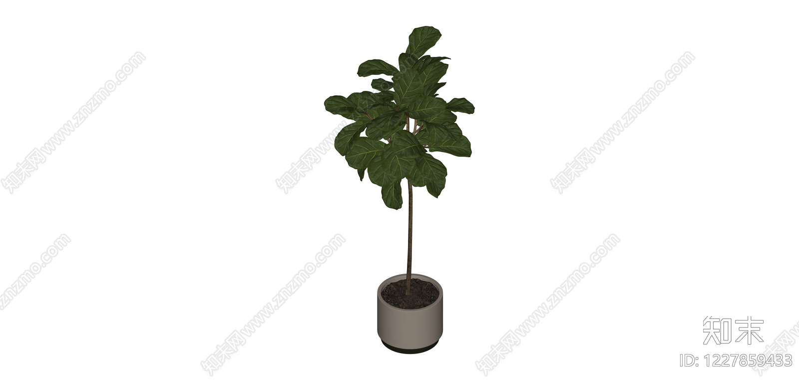 盆栽绿植（带盆）SU模型下载【ID:1227859433】