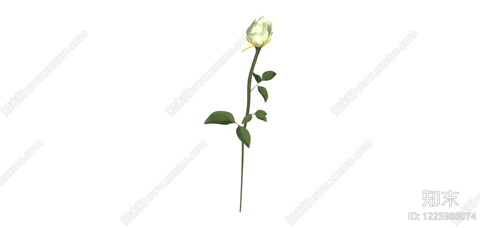 单支白色玫瑰花SU模型下载【ID:1225988074】