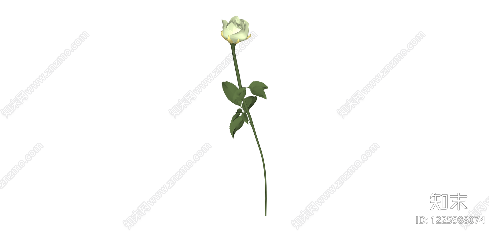 单支白色玫瑰花SU模型下载【ID:1225988074】