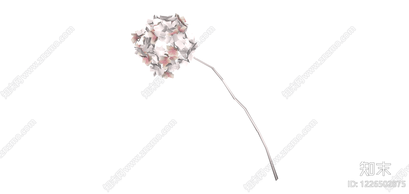 粉白花卉球茎模型SU模型下载【ID:1226502875】