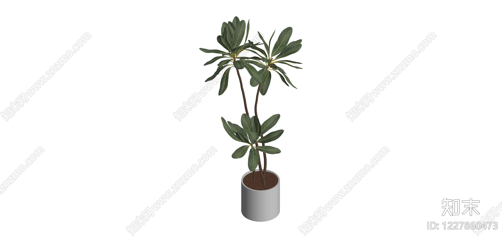 灰色花盆绿植组合SU模型下载【ID:1227860473】