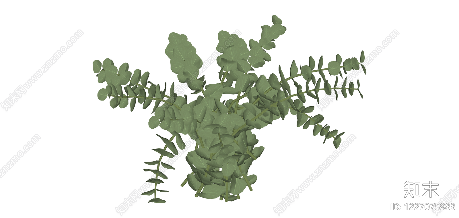 尤加利叶植物组SU模型下载【ID:1227075983】