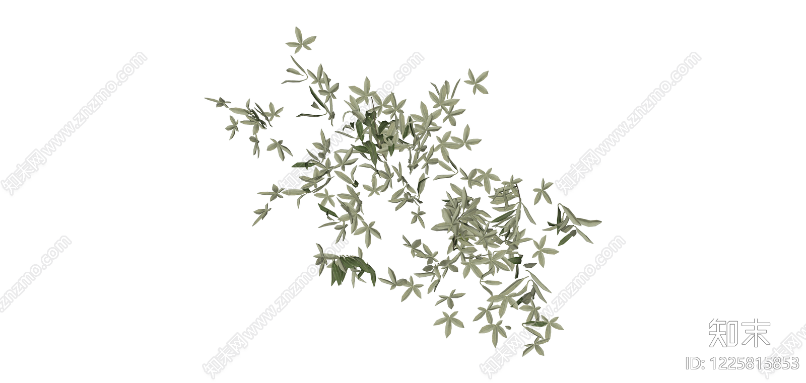 橄榄枝植物组合SU模型下载【ID:1225815853】