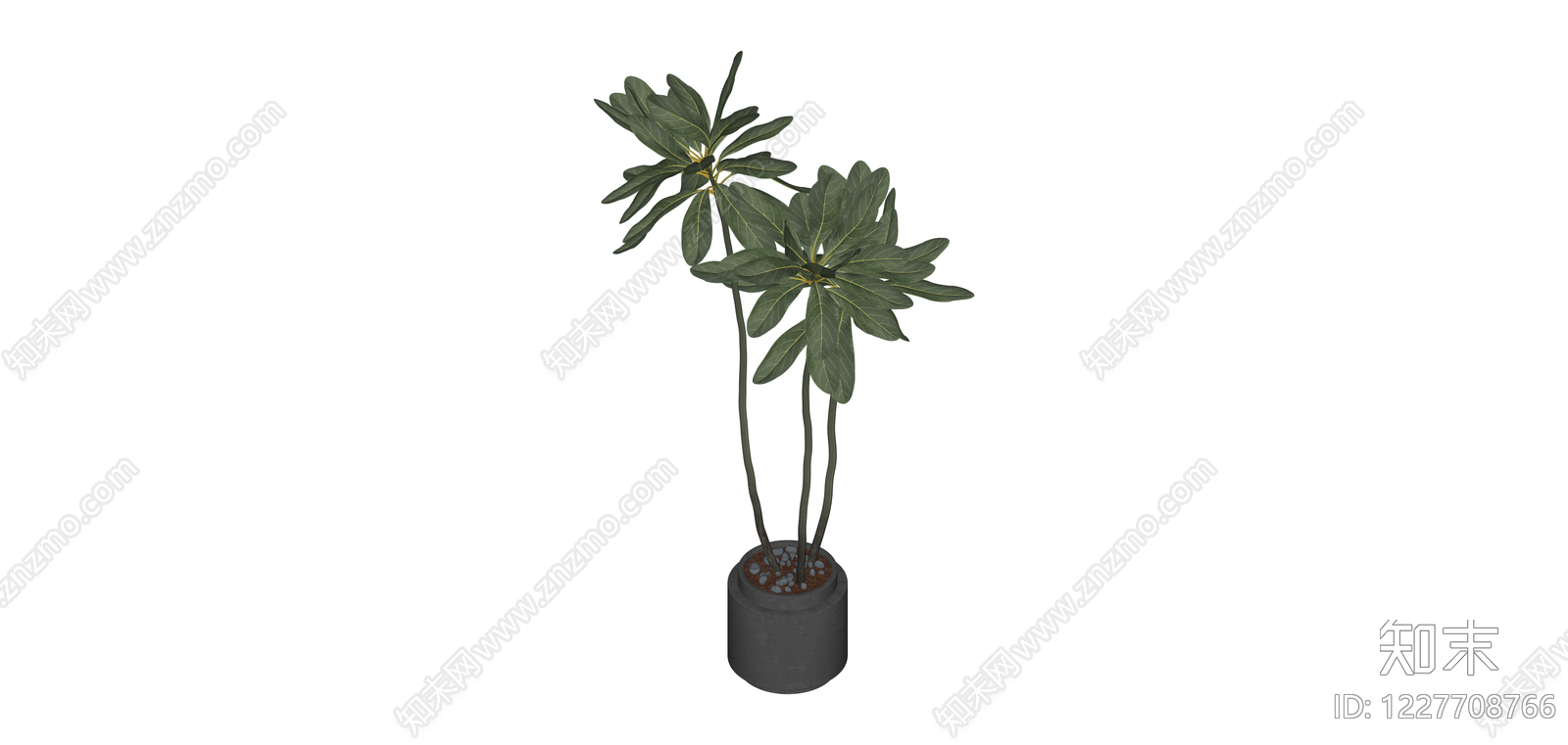 带盆绿植盆栽SU模型下载【ID:1227708766】