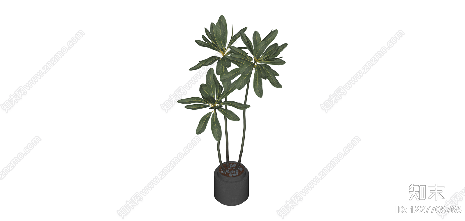 带盆绿植盆栽SU模型下载【ID:1227708766】