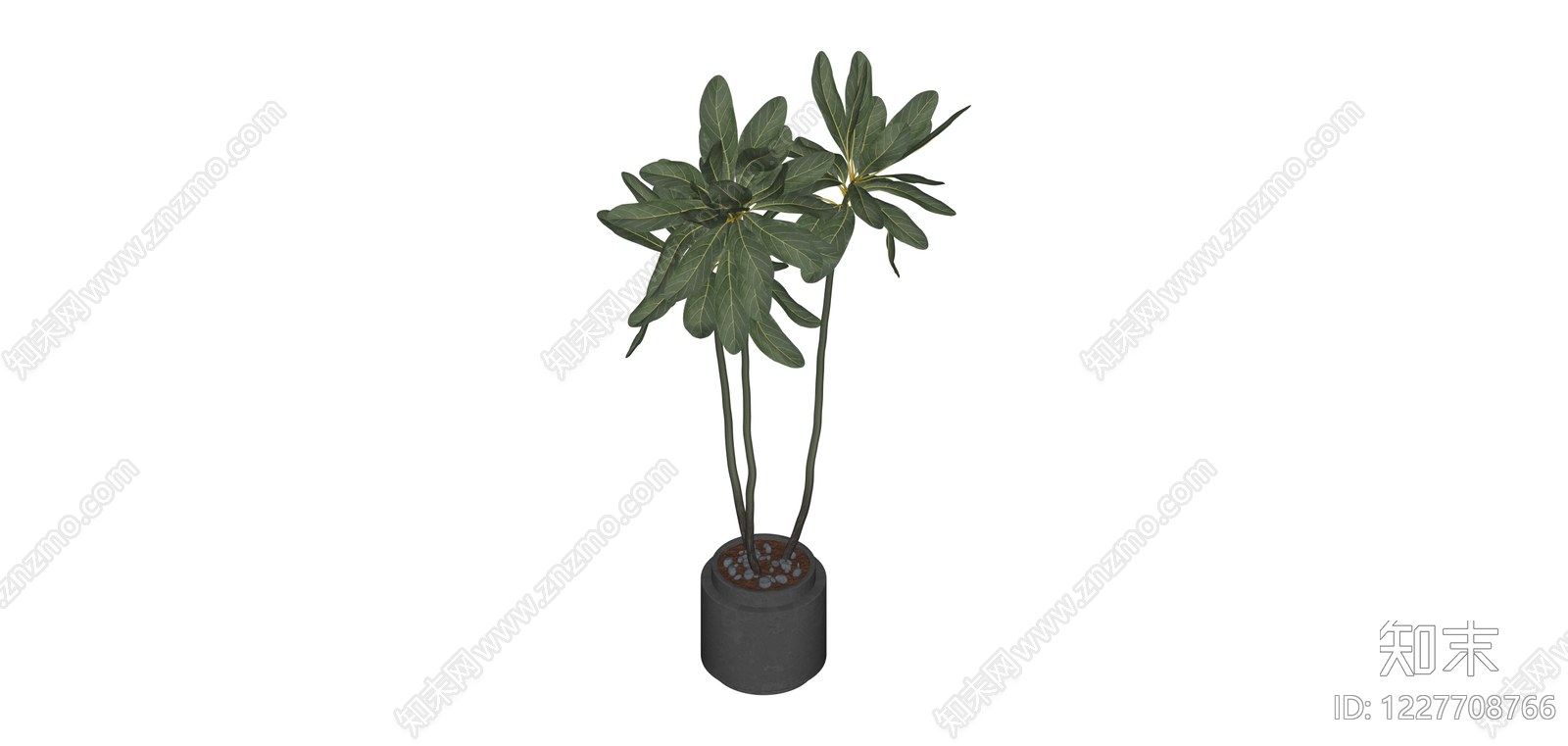 带盆绿植盆栽SU模型下载【ID:1227708766】