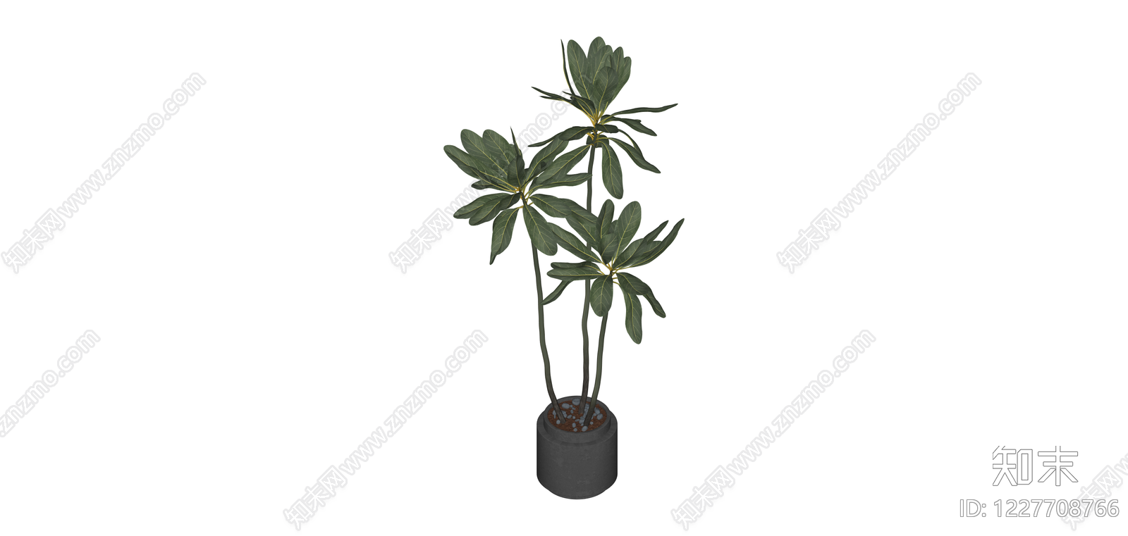 带盆绿植盆栽SU模型下载【ID:1227708766】