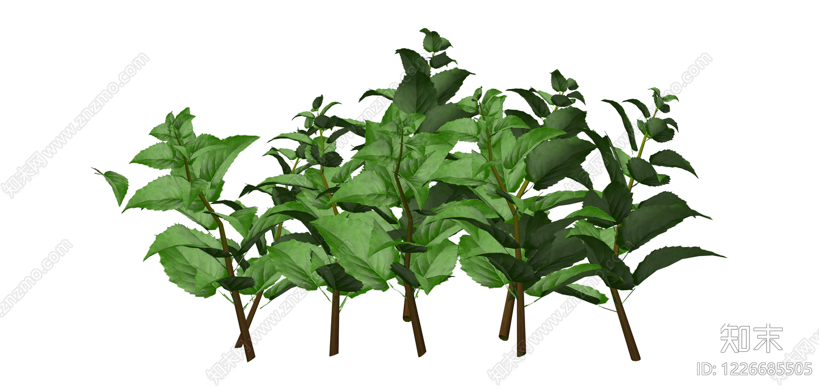 丛生灌木绿植组SU模型下载【ID:1226685505】
