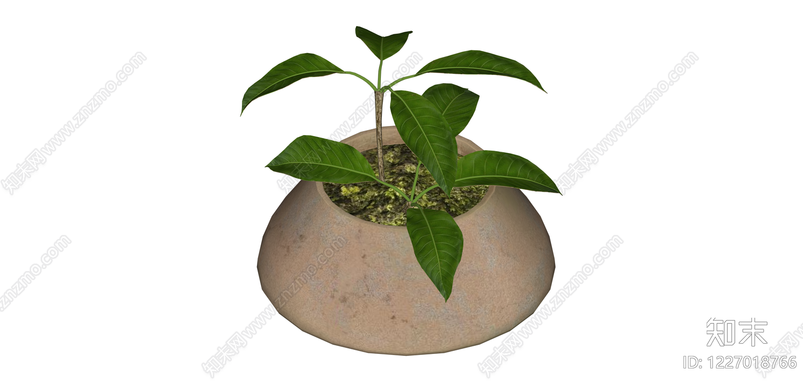 带盆绿植盆栽模型SU模型下载【ID:1227018766】