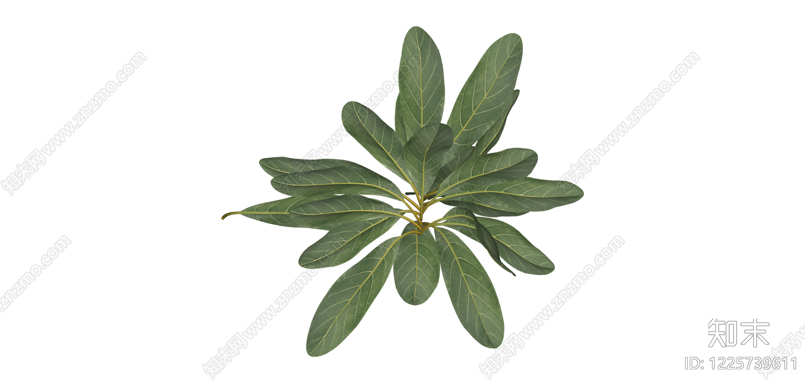 阔叶绿植模型SU模型下载【ID:1225739611】