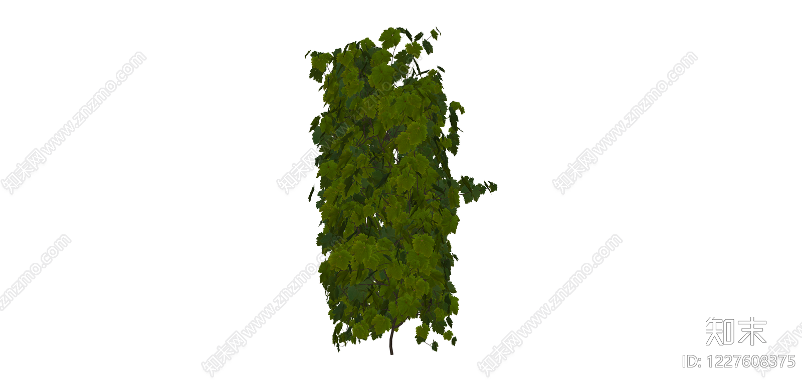 绿色藤蔓植物组件SU模型下载【ID:1227608375】