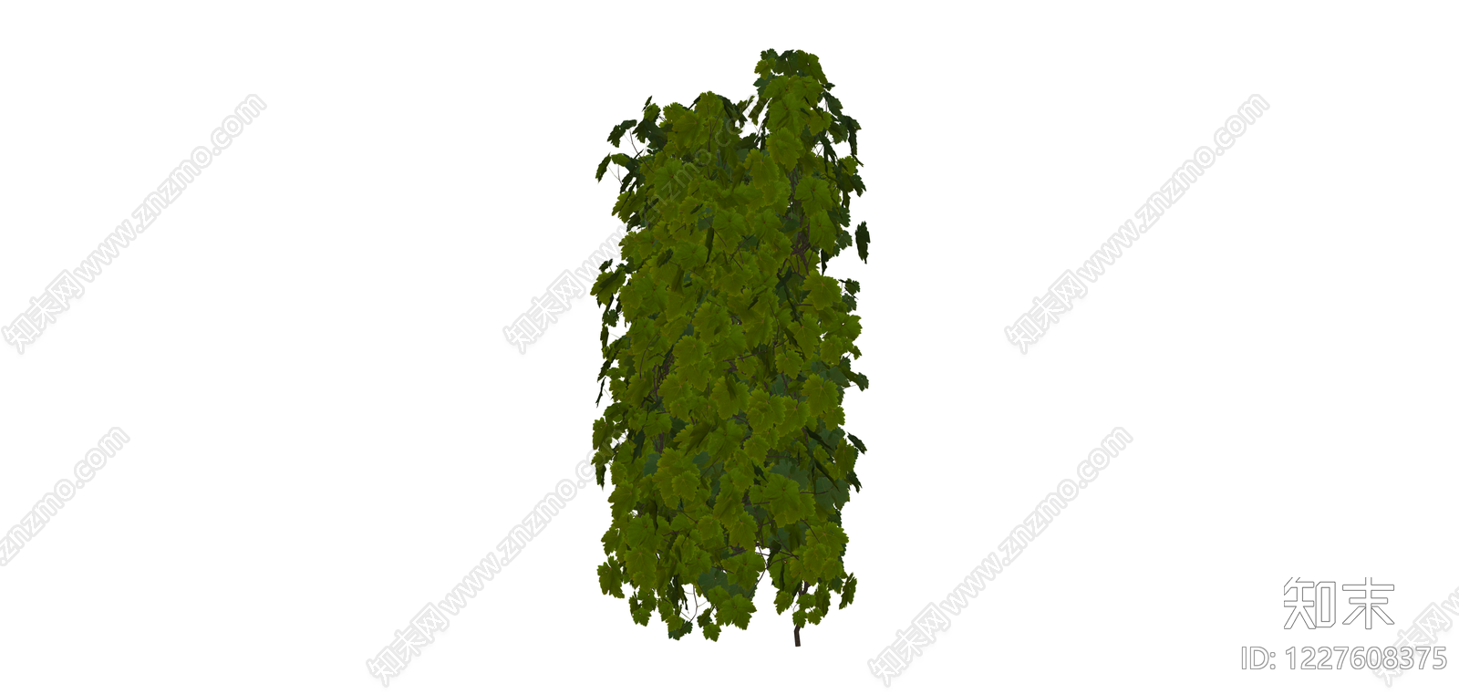 绿色藤蔓植物组件SU模型下载【ID:1227608375】