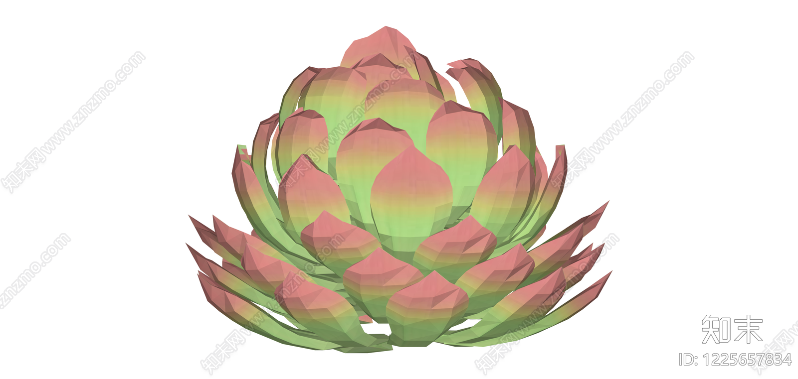 多肉植物低多边形模型SU模型下载【ID:1225657834】