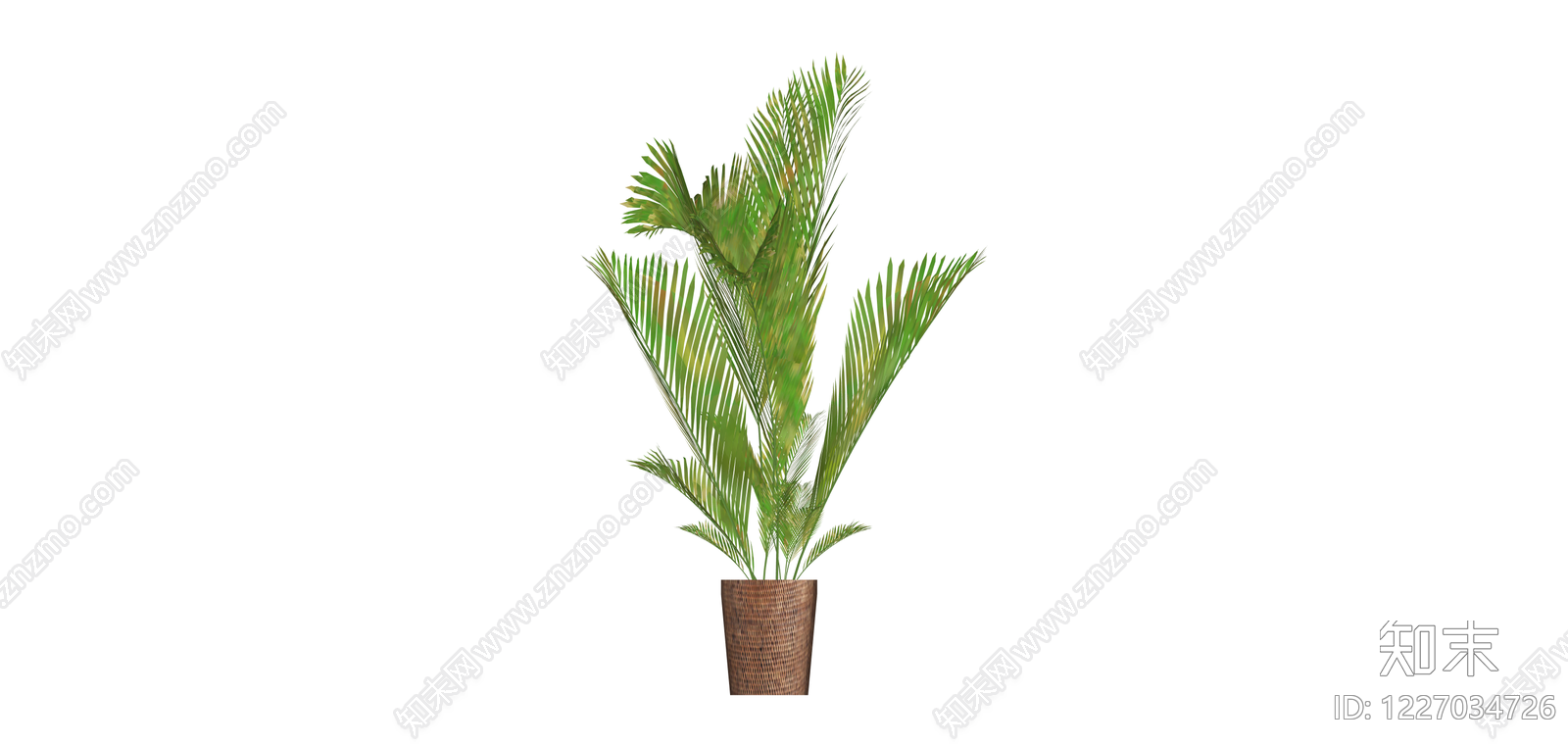 盆栽绿植模型SU模型下载【ID:1227034726】