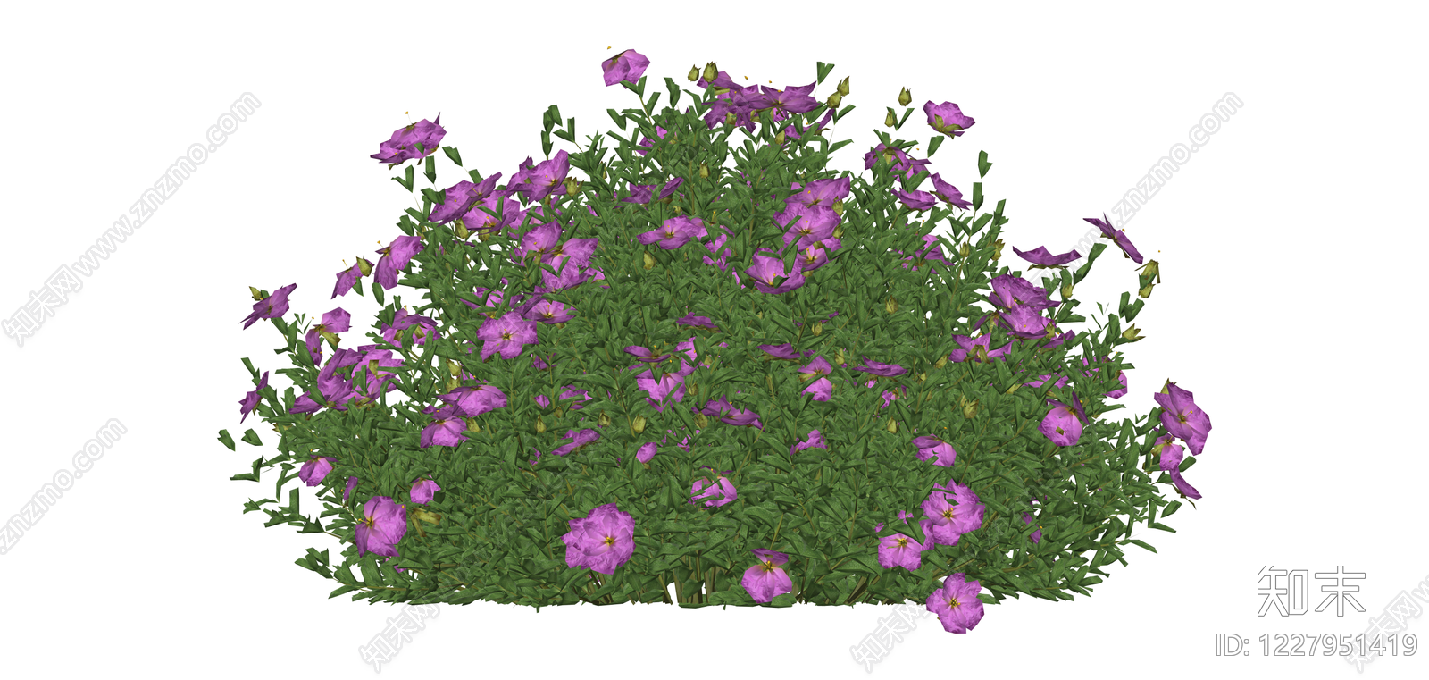 紫色灌木植物模型SU模型下载【ID:1227951419】
