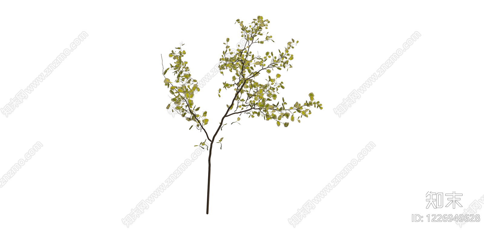 黄叶景观树木SU模型下载【ID:1226949628】