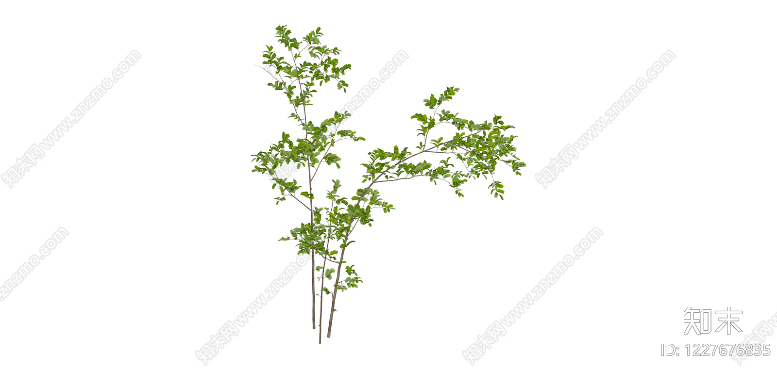 丛生绿植灌木模型SU模型下载【ID:1227676835】