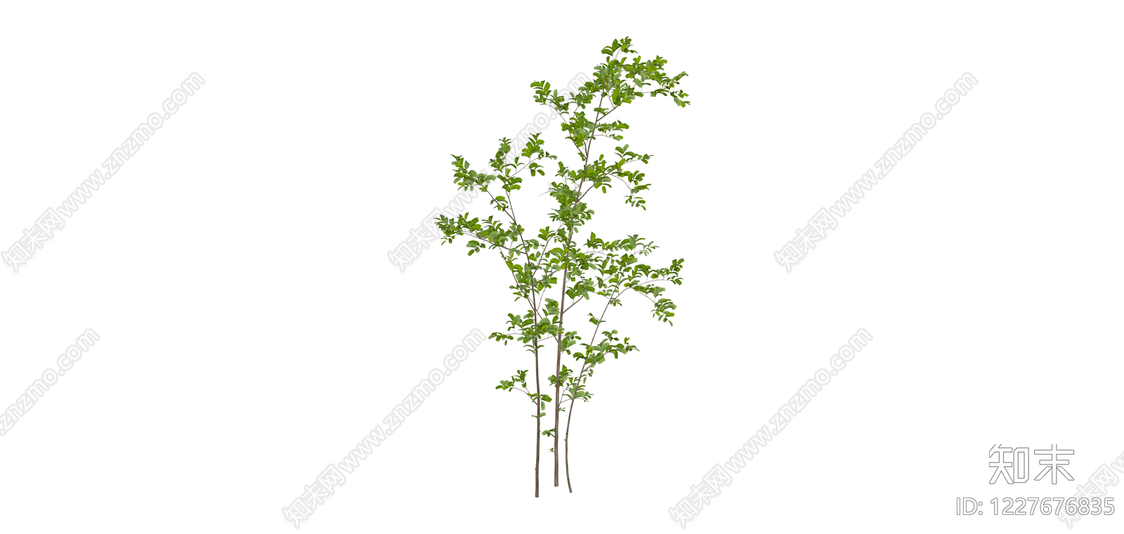 丛生绿植灌木模型SU模型下载【ID:1227676835】
