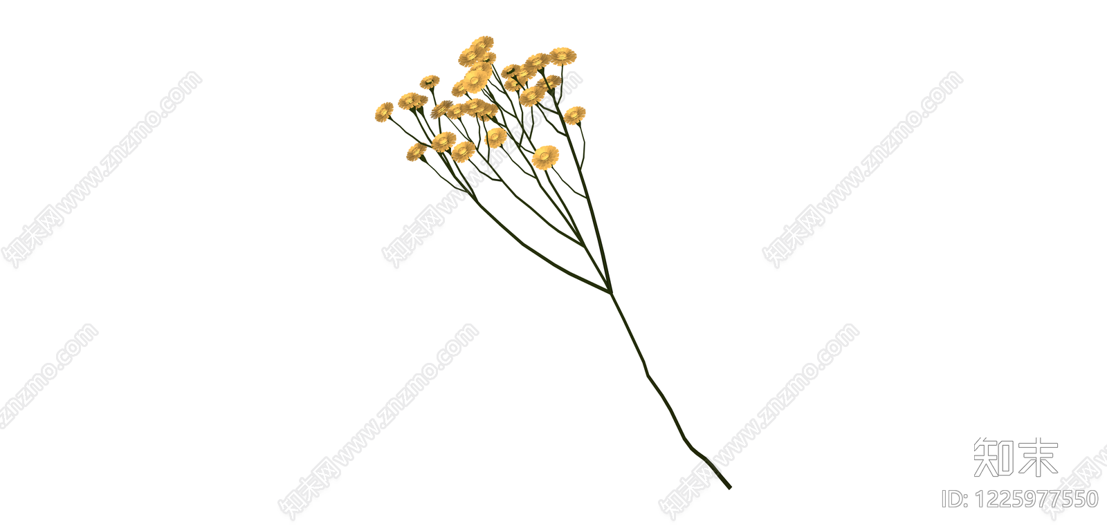 黄色干花花艺组合SU模型下载【ID:1225977550】