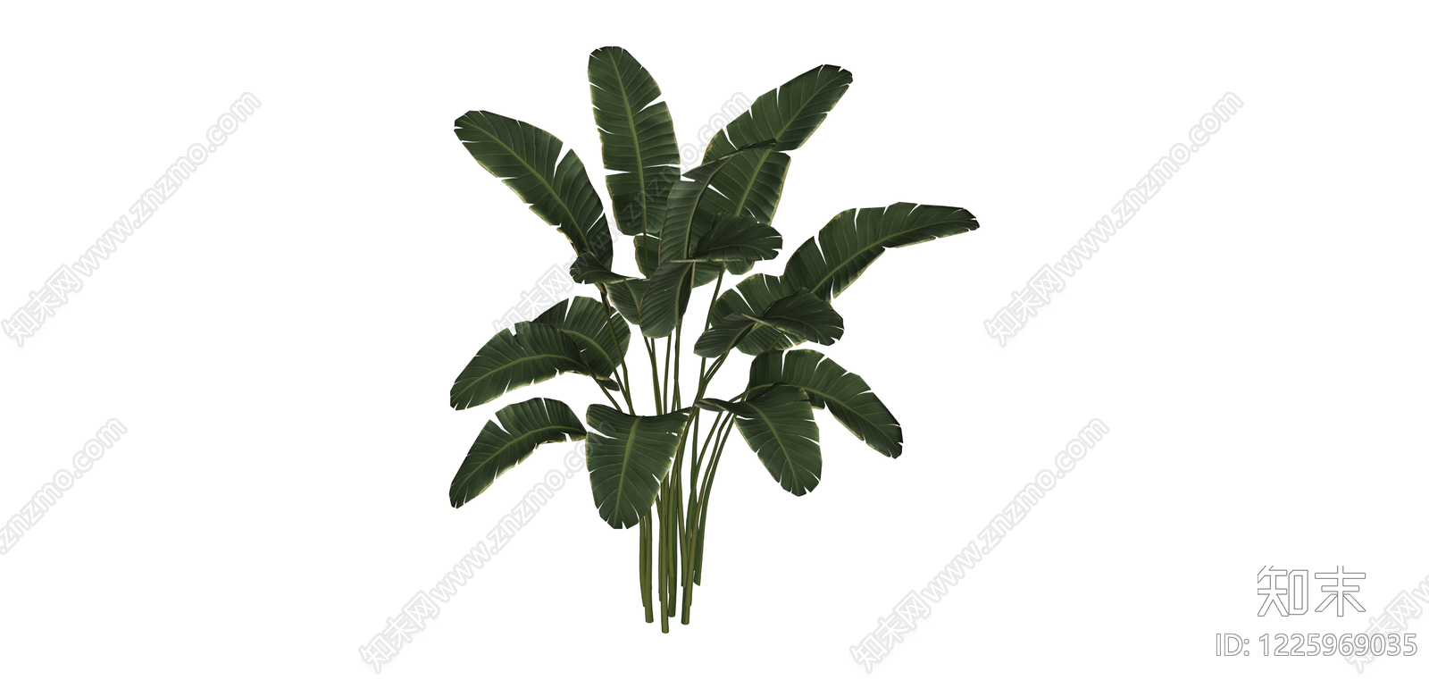仿真天堂鸟绿植SU模型下载【ID:1225969035】