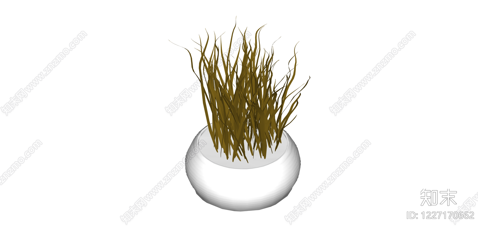 白模盆栽植物SU模型下载【ID:1227170662】