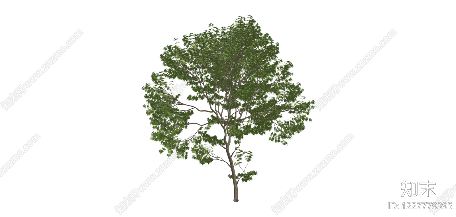 完整景观树木模型SU模型下载【ID:1227779395】