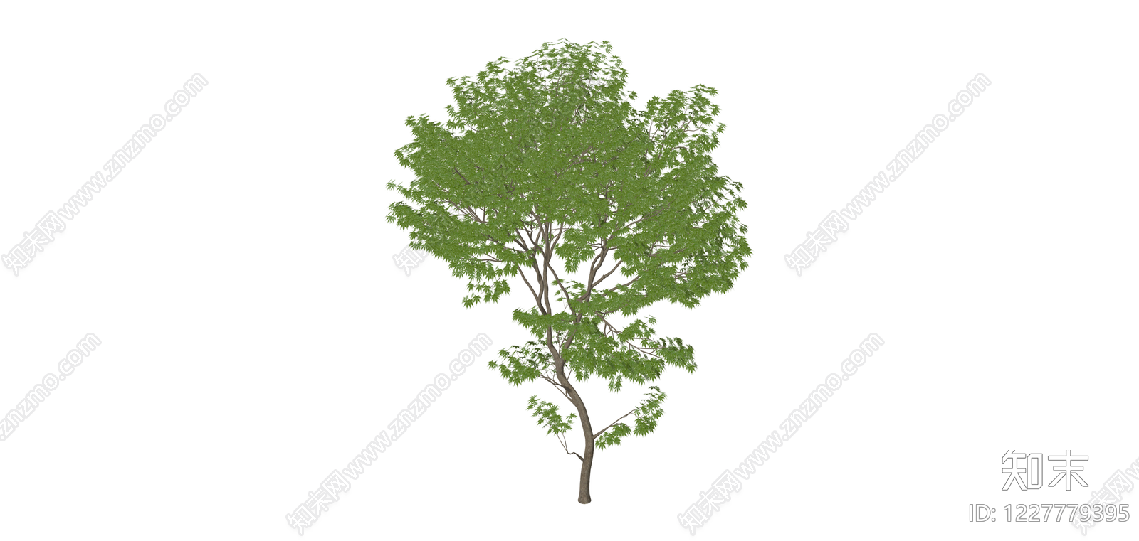 完整景观树木模型SU模型下载【ID:1227779395】