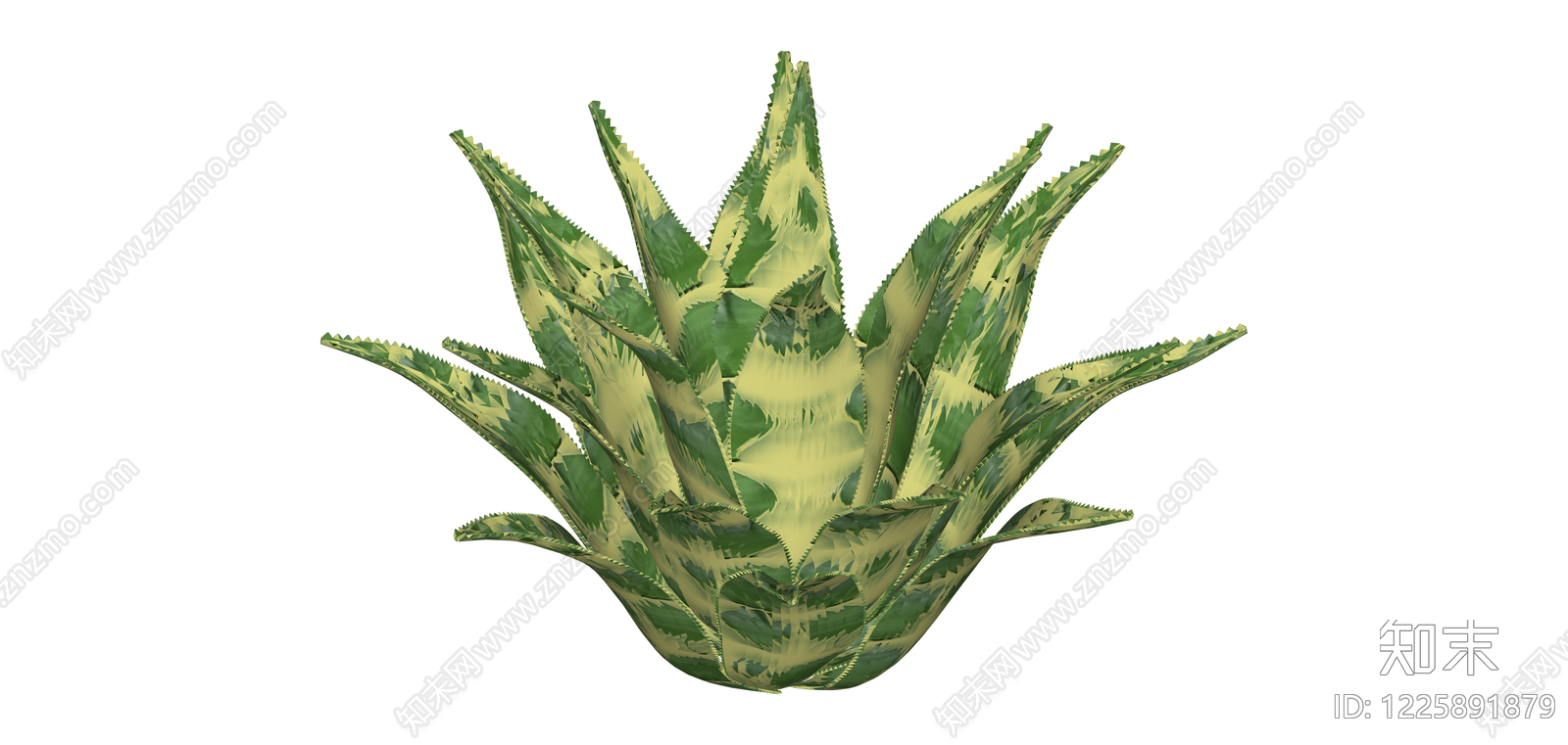 斑叶芦荟植物模型SU模型下载【ID:1225891879】