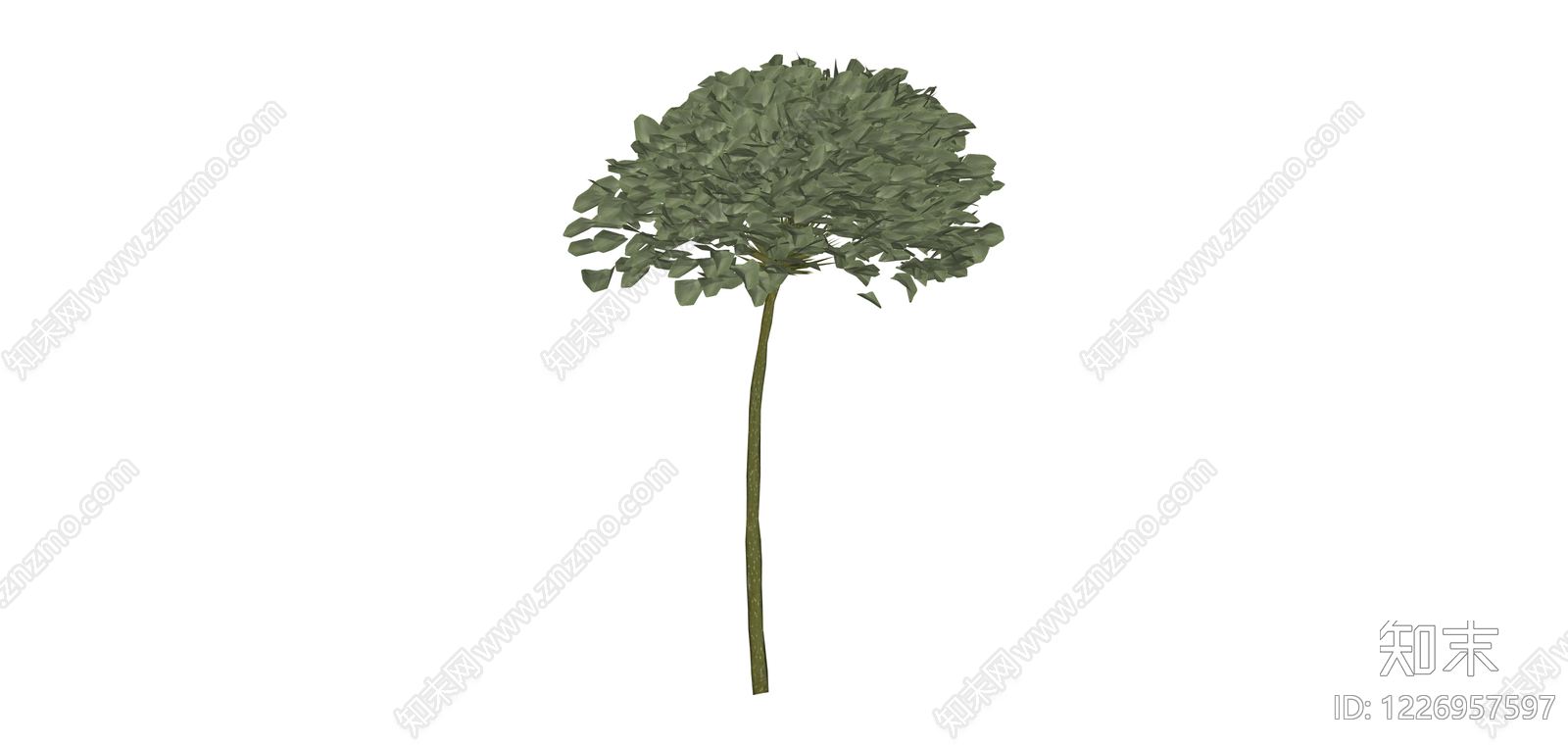 带茎独立植物模型SU模型下载【ID:1226957597】