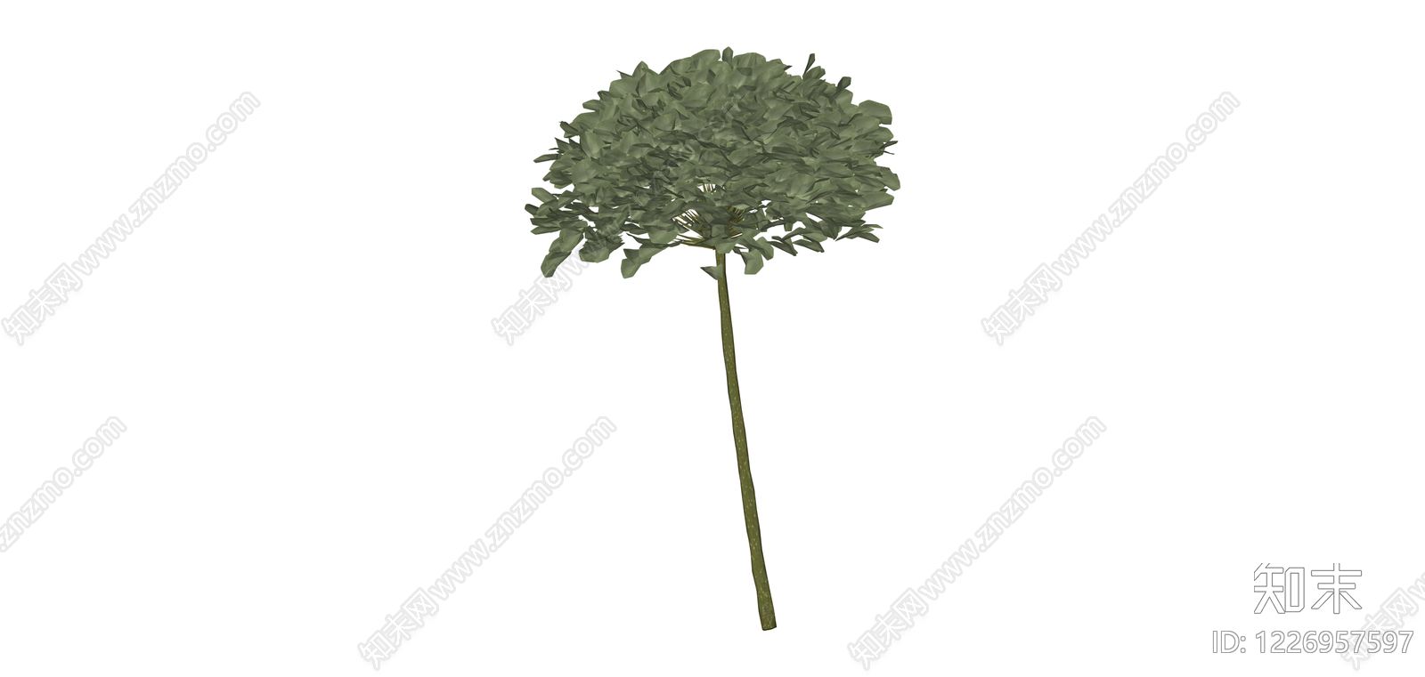 带茎独立植物模型SU模型下载【ID:1226957597】