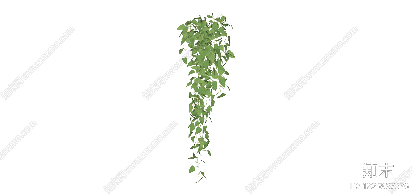 垂吊绿植藤蔓组件SU模型下载【ID:1225987576】