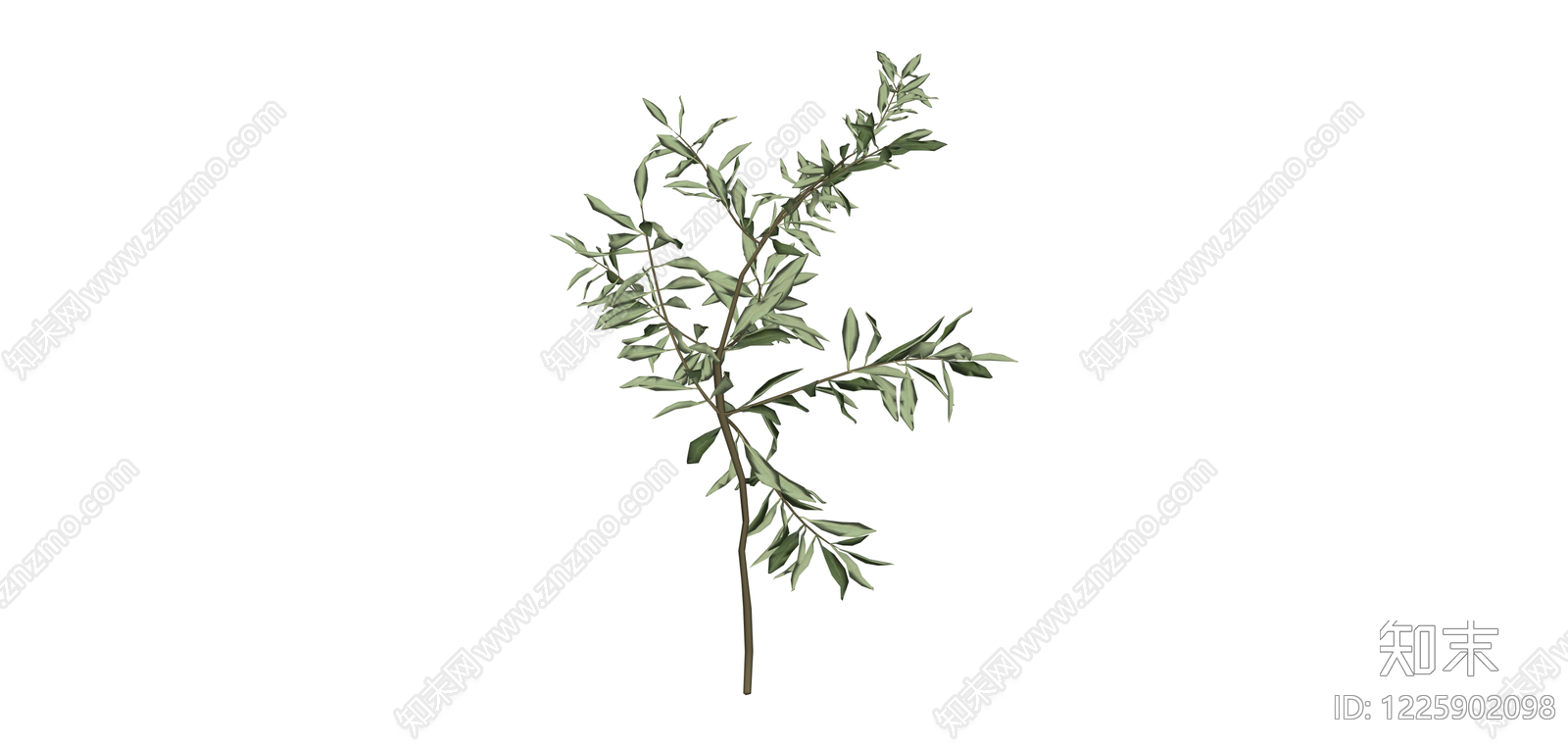 仿真橄榄枝植物模型SU模型下载【ID:1225902098】
