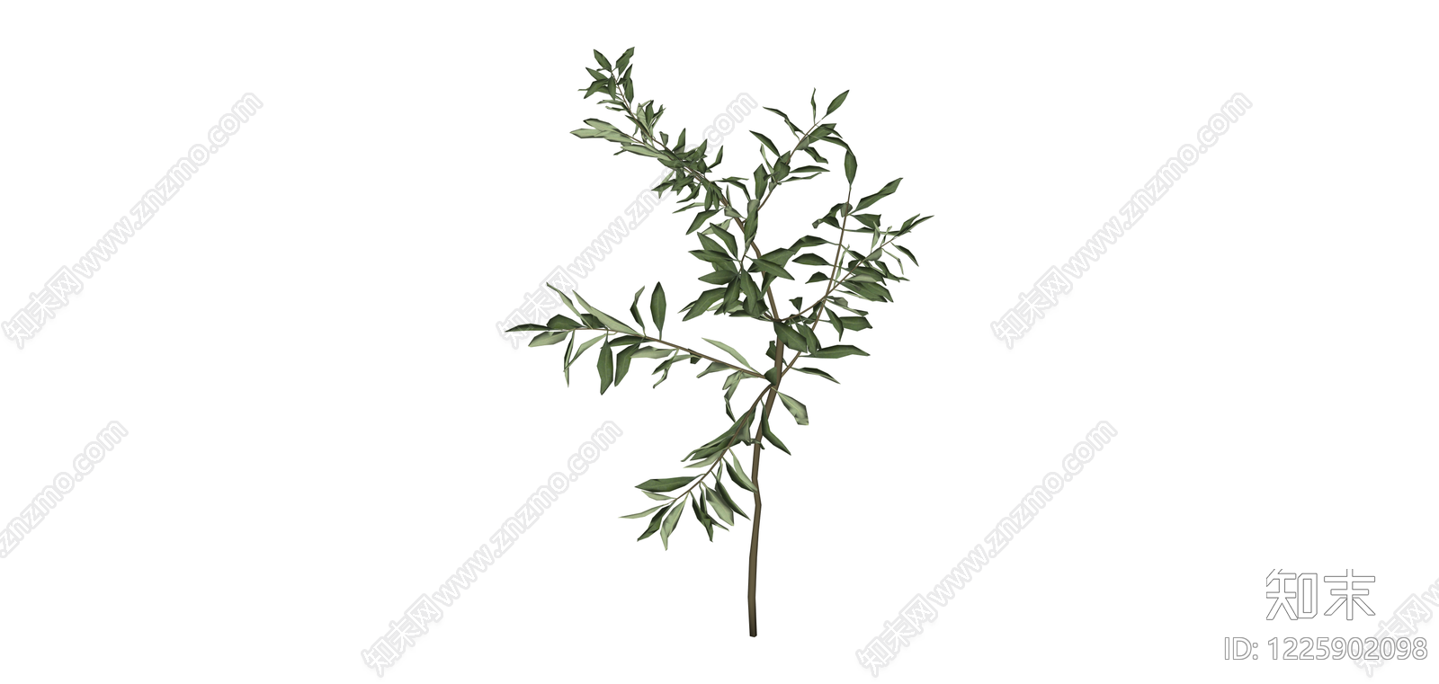 仿真橄榄枝植物模型SU模型下载【ID:1225902098】