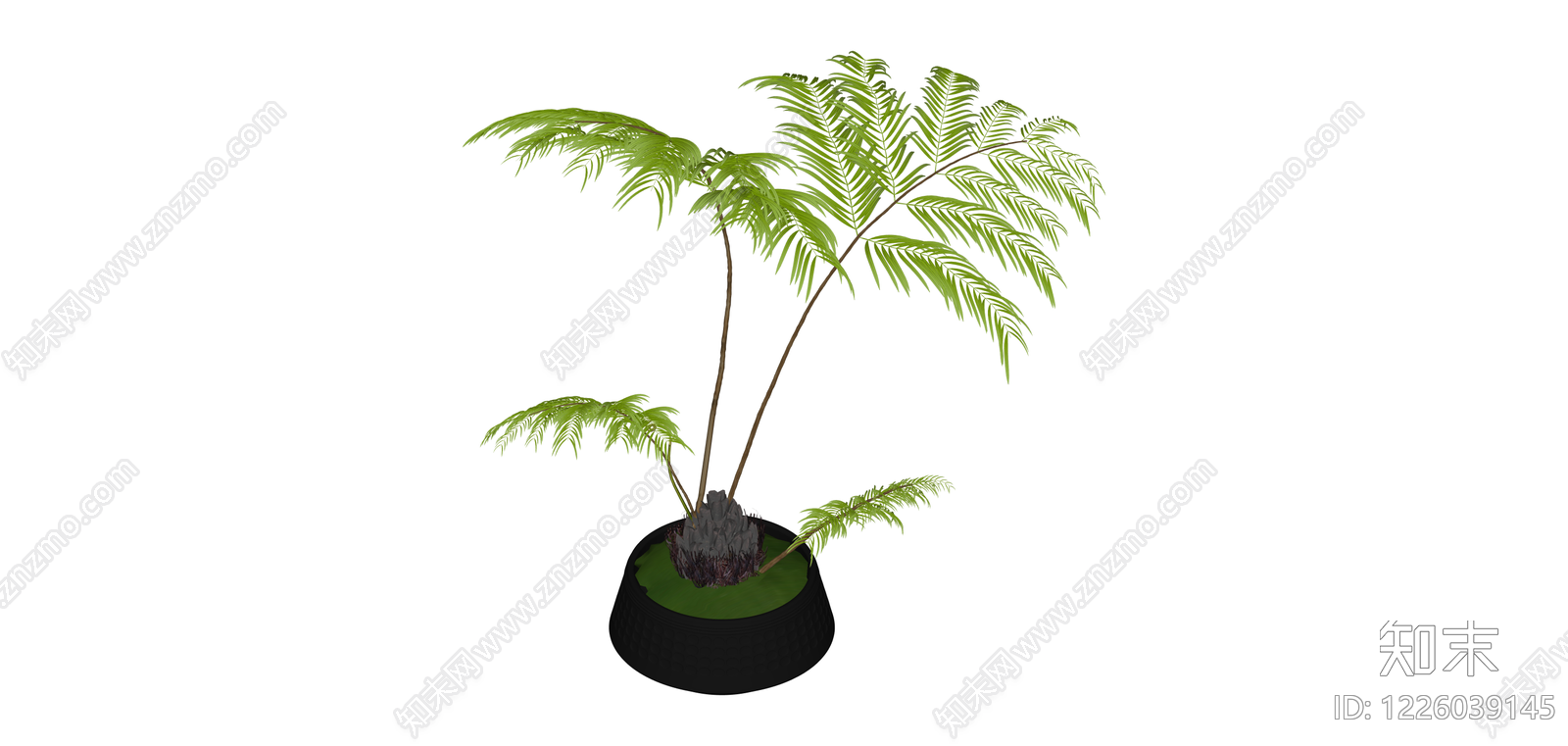 盆栽蕨类植物模型SU模型下载【ID:1226039145】