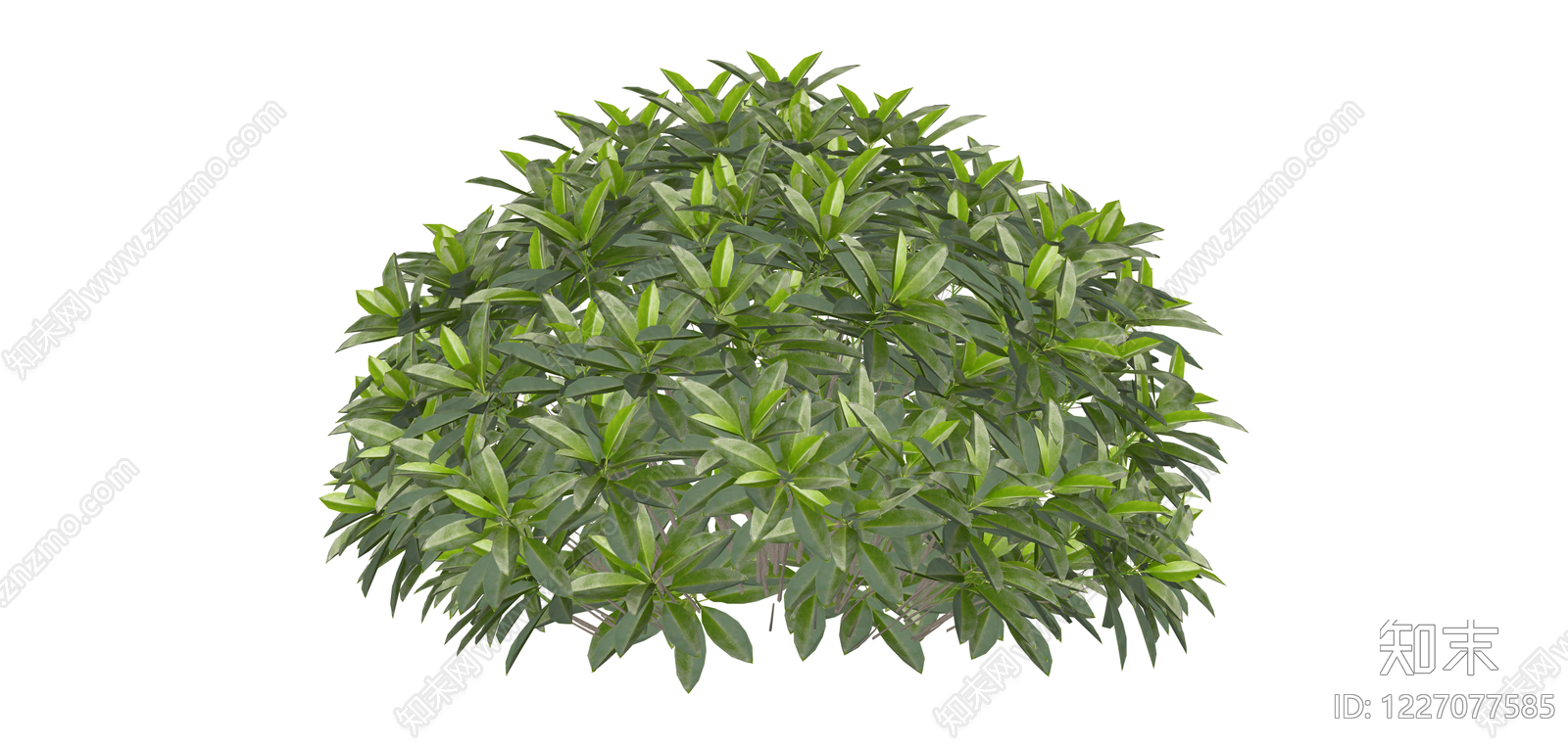球形灌木绿植模型SU模型下载【ID:1227077585】