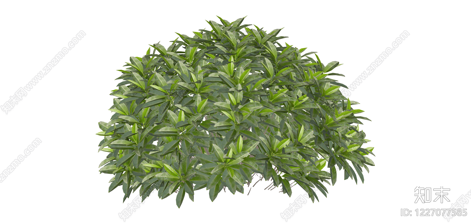 球形灌木绿植模型SU模型下载【ID:1227077585】