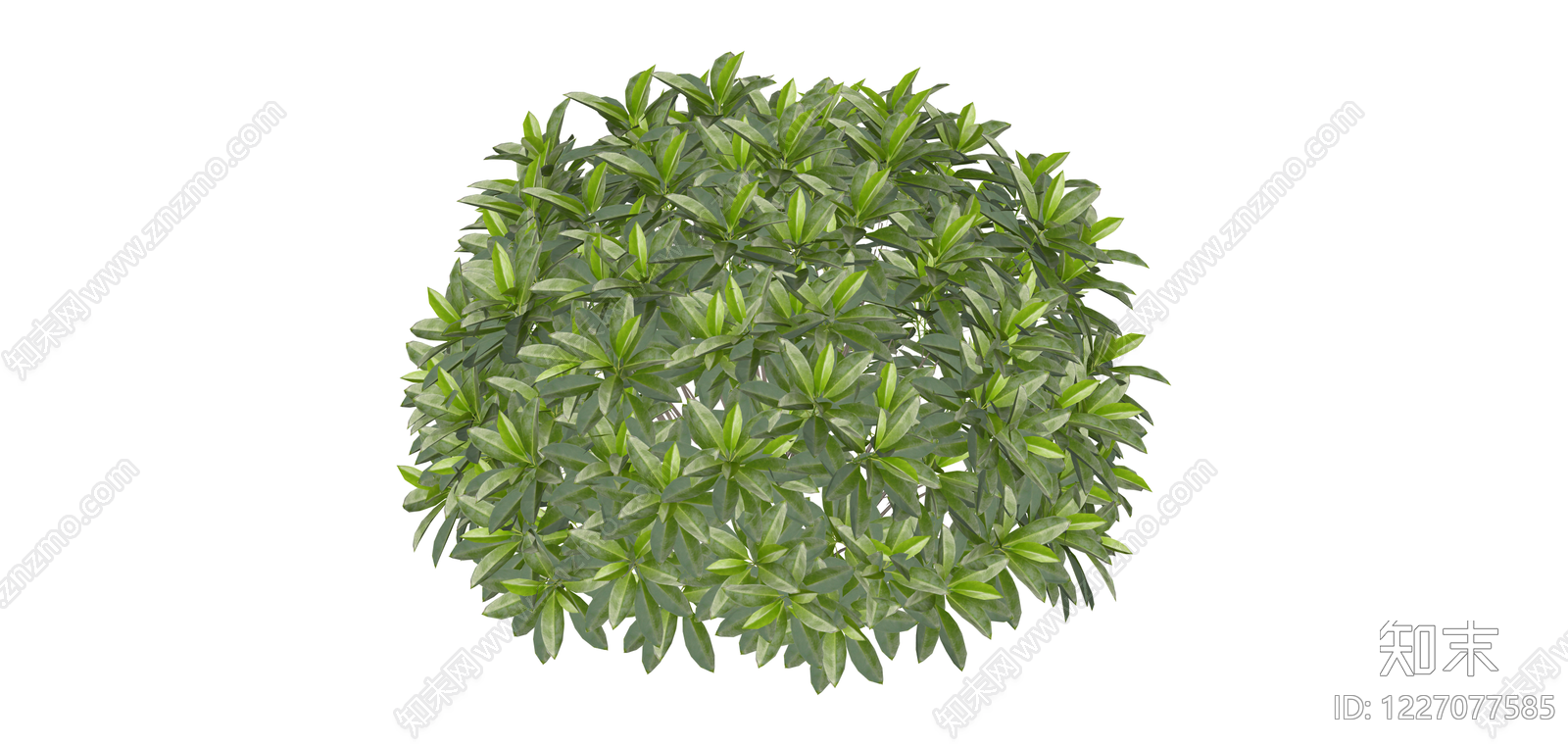 球形灌木绿植模型SU模型下载【ID:1227077585】