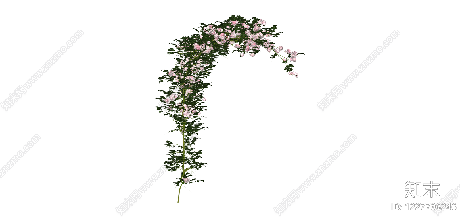 粉色月季藤蔓SU模型下载【ID:1227796246】