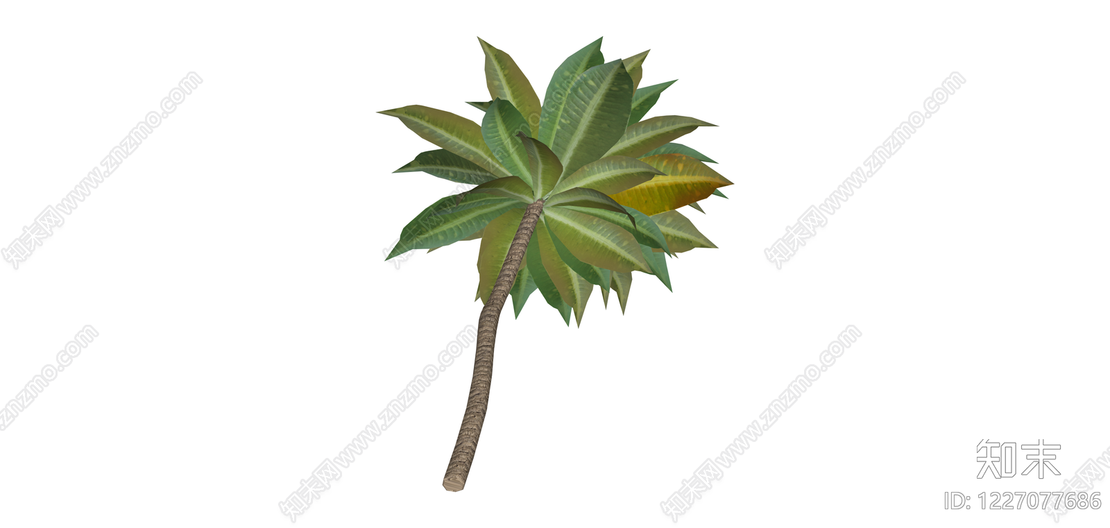 单株棕榈树模型SU模型下载【ID:1227077686】