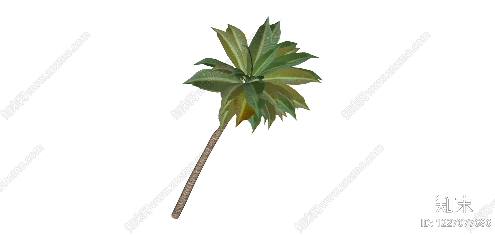 单株棕榈树模型SU模型下载【ID:1227077686】