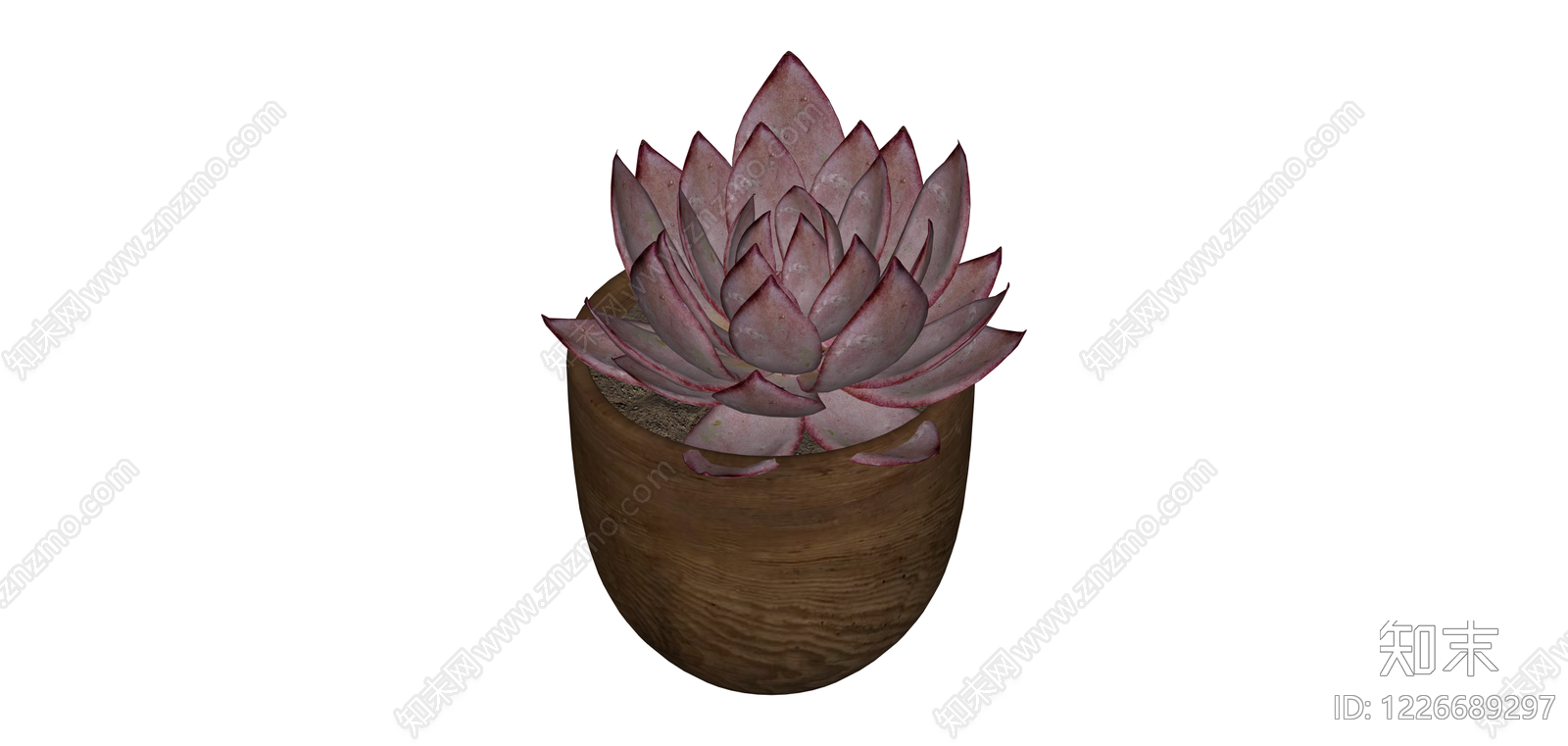 多肉植物盆栽SU模型下载【ID:1226689297】
