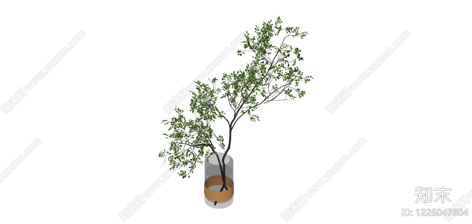 玻璃花瓶绿植组合SU模型下载【ID:1226047604】
