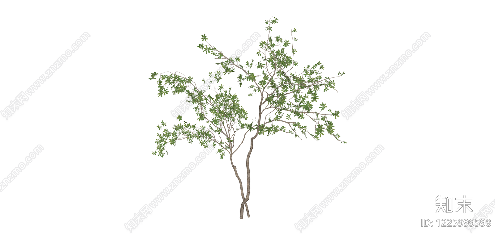 双干造型景观树SU模型下载【ID:1225999598】