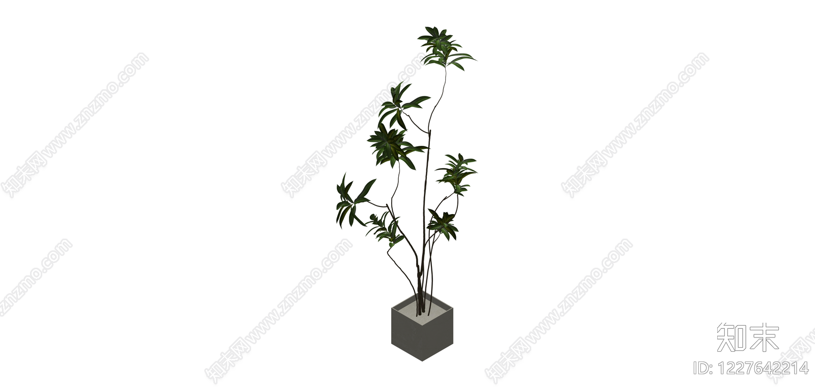 方盆绿植盆栽组合SU模型下载【ID:1227642214】