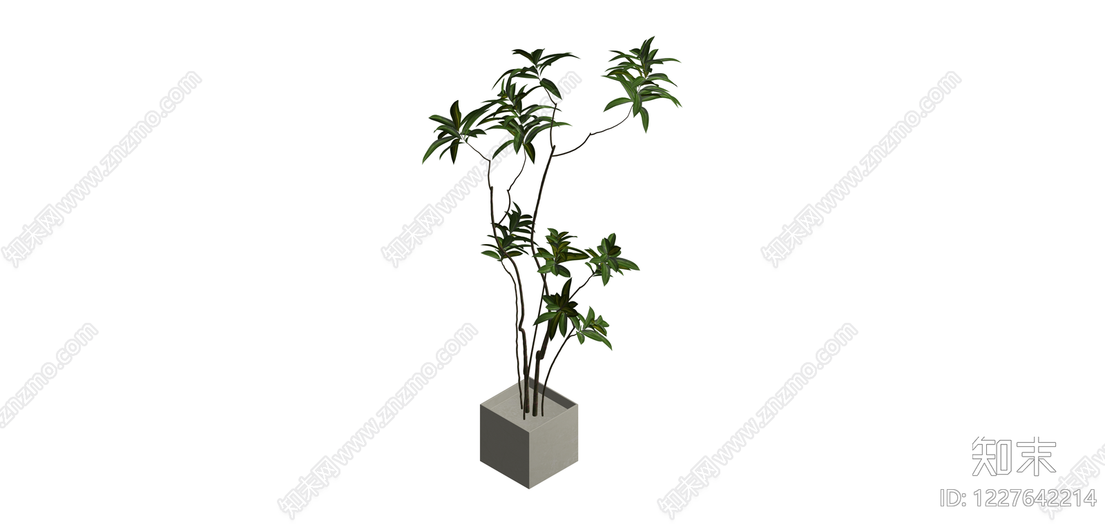方盆绿植盆栽组合SU模型下载【ID:1227642214】