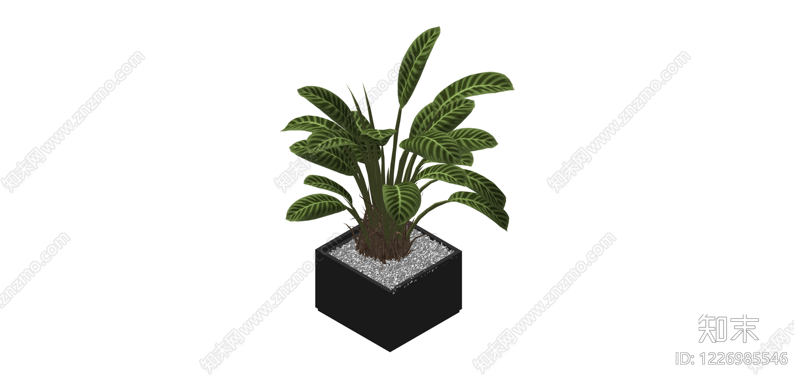 盆栽绿植带盆SU模型下载【ID:1226985546】
