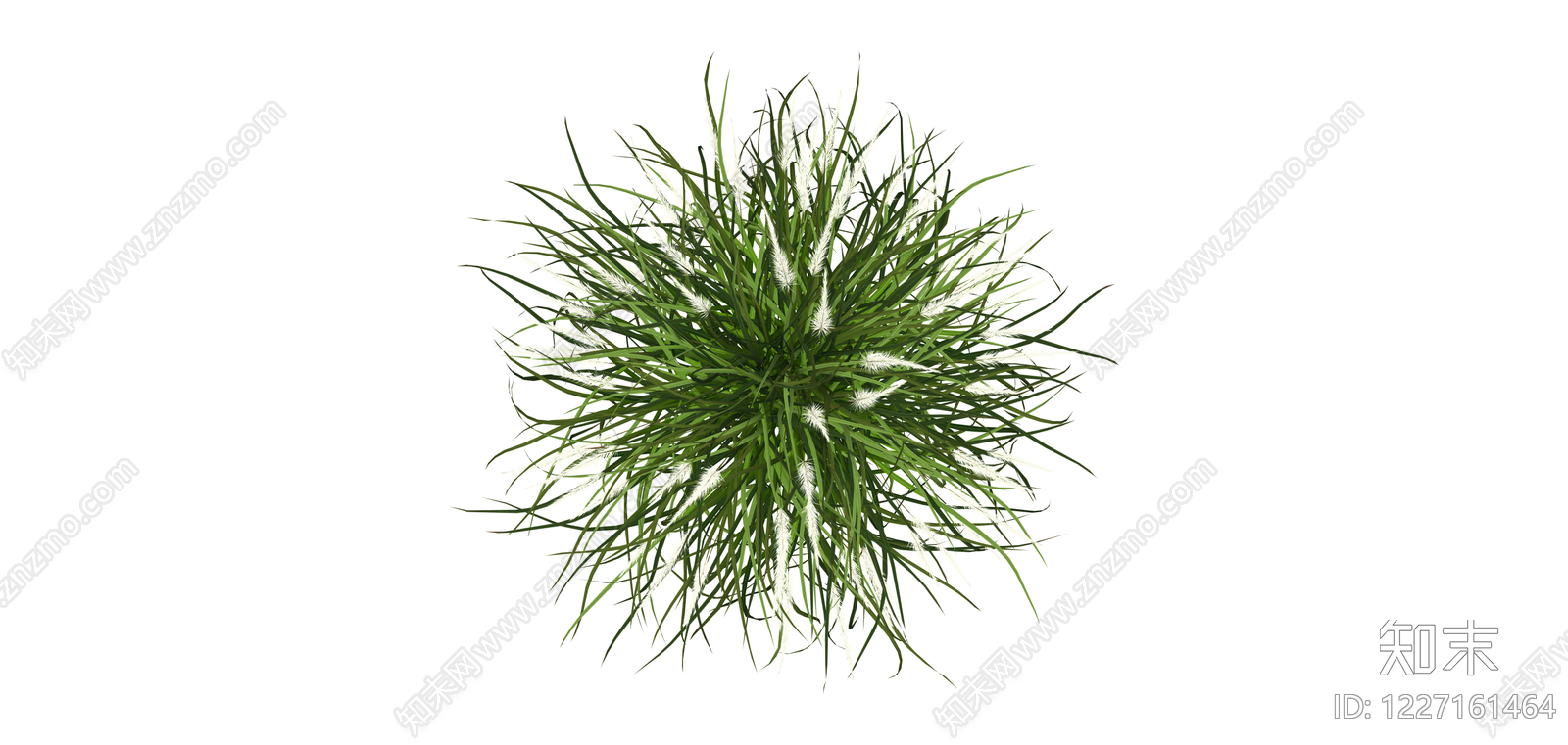 丛生观赏草绿植SU模型下载【ID:1227161464】